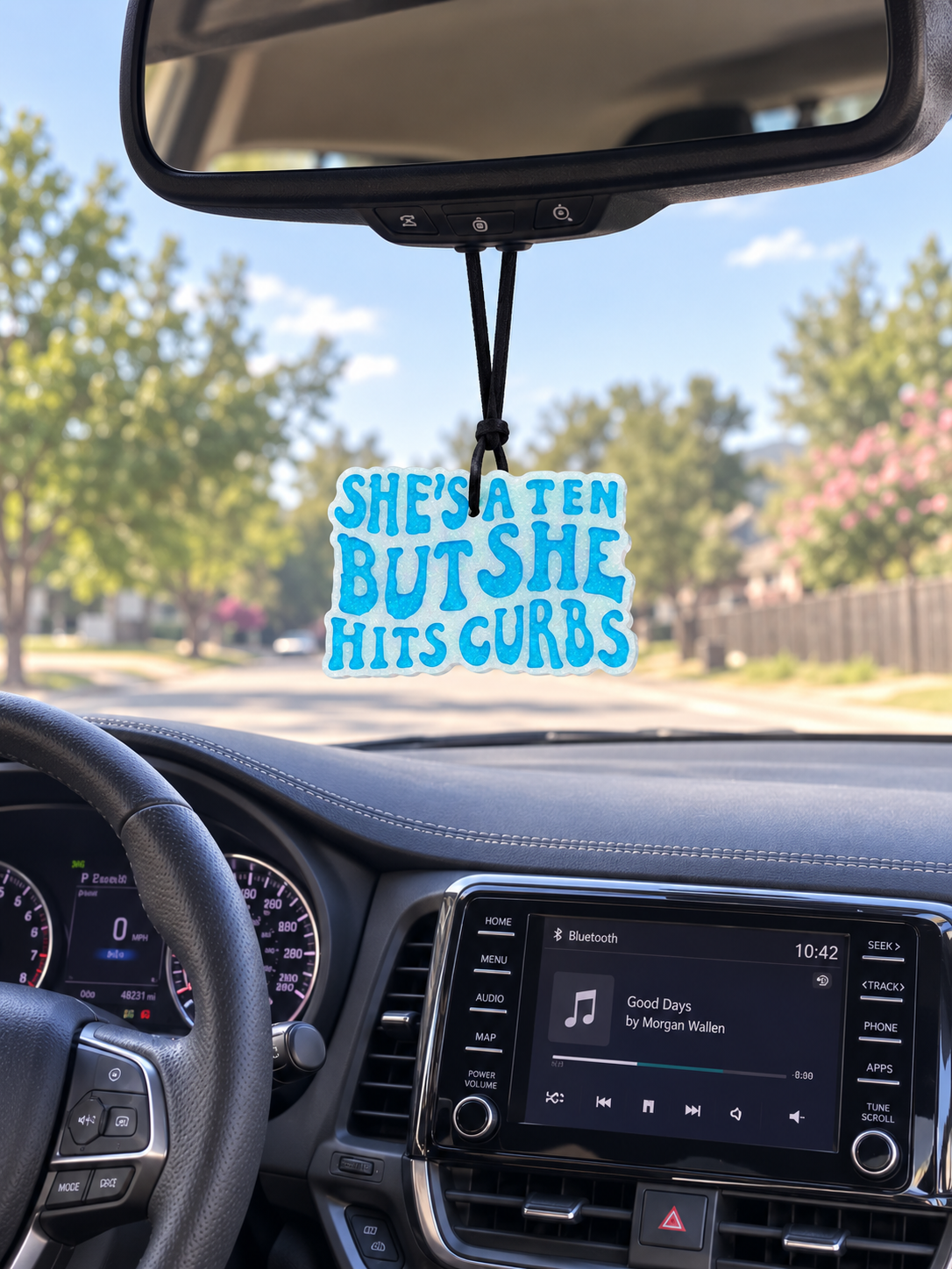 Detailed Car Freshie